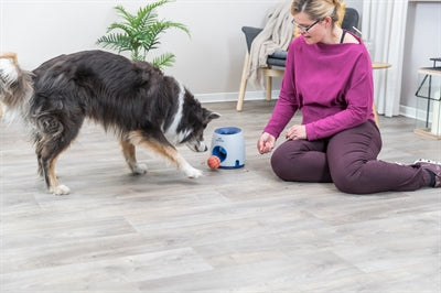 Trixie Dog Activity Strategiespel Ball&Treat Lichtgrijs / Blauw 17X17X18 Cm