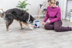 Trixie Dog Activity Strategiespel Ball&Treat Lichtgrijs / Blauw 17X17X18 Cm