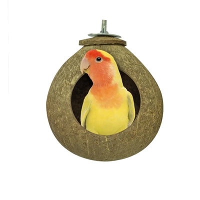 Back Zoo Nature Coconut House Ca. 9,5 Cm
