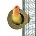 Back Zoo Nature Coconut House Ca. 9,5 Cm