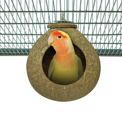 Back Zoo Nature Coconut House Ca. 9,5 Cm