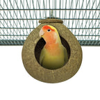 Back Zoo Nature Coconut House Ca. 9,5 Cm