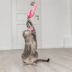 Trixie Kattenhengel Telescopisch Grote Katten Met Flamingo Roze 106 Cm