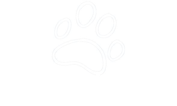 Pet Gadgets